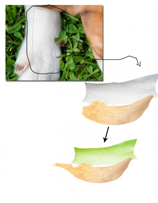 Creation of Breeze of Dawn: Step 2